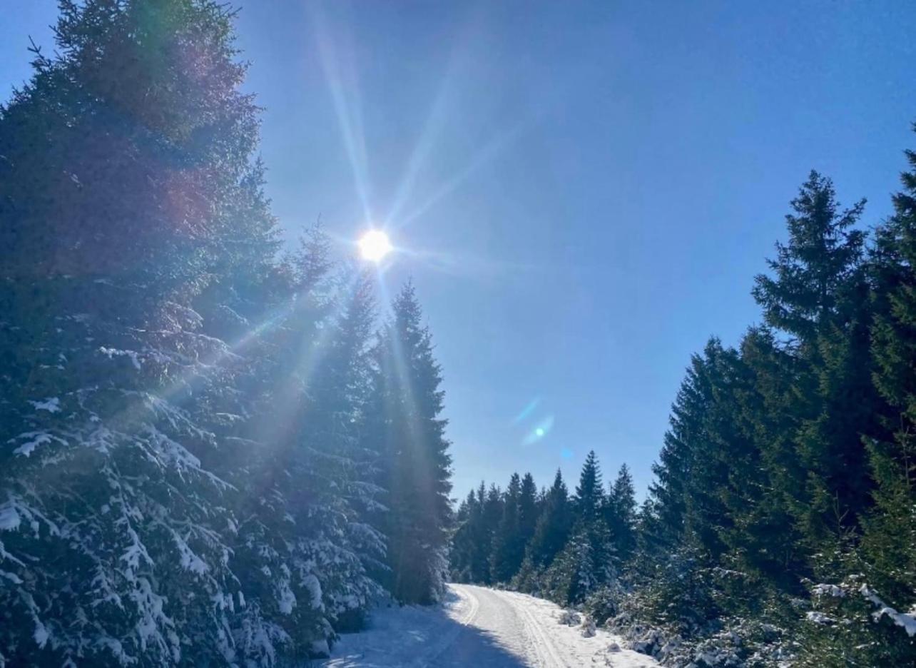Ferienwohnung Tannhaeuser Braunlage Kültér fotó
